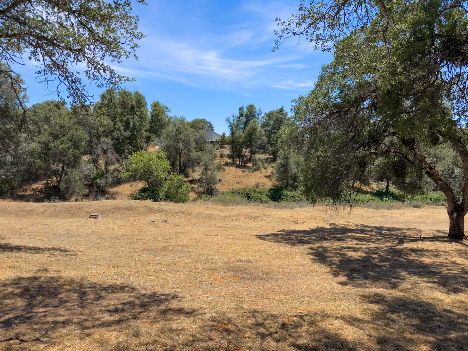 1 Spriggs Ln, Mariposa, CA 95338