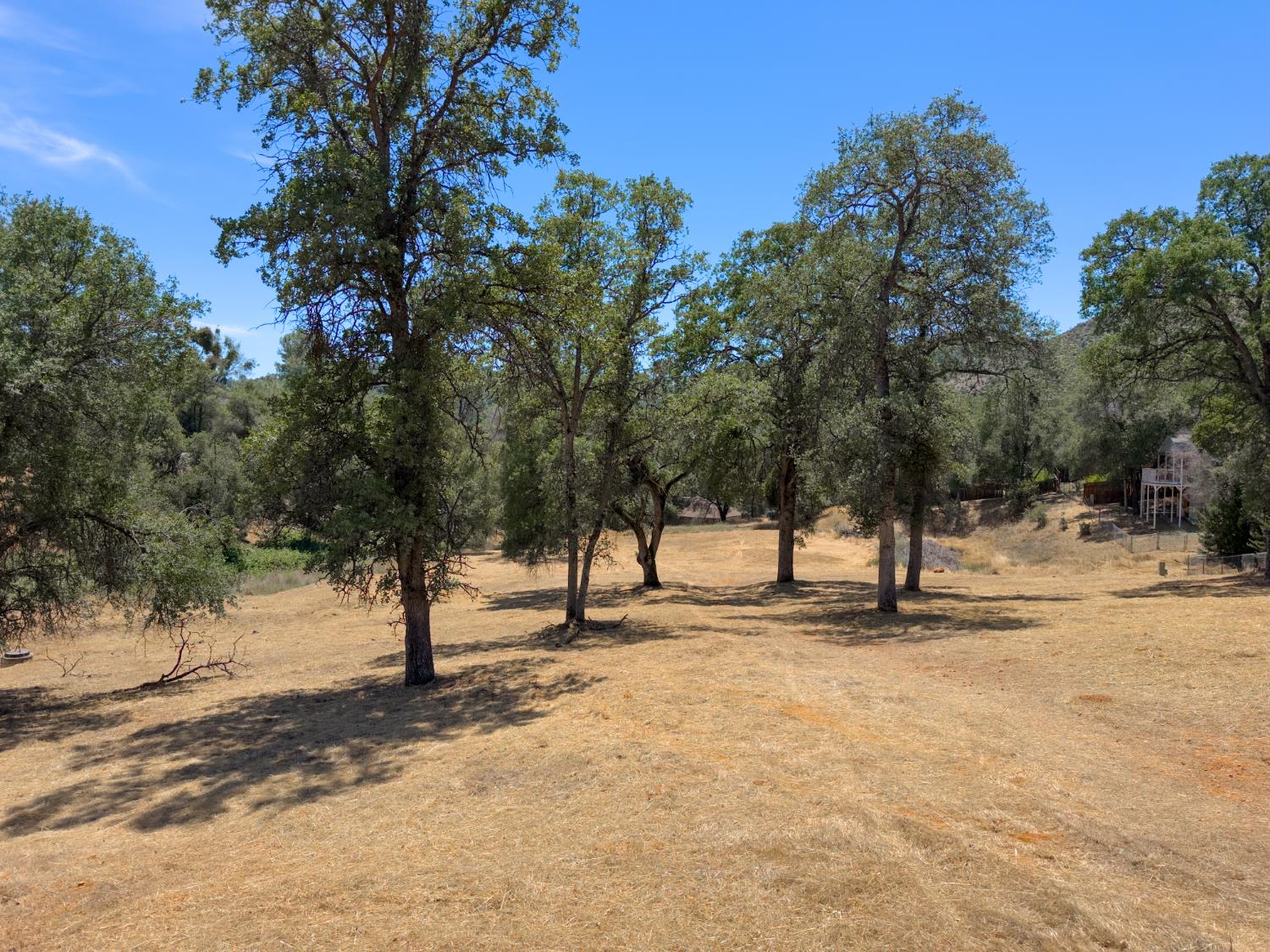 1 Spriggs Ln, Mariposa, CA 95338