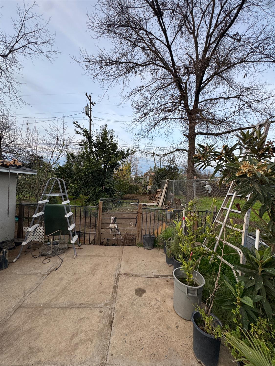 1123 E Garrett Ave, Fresno, CA 93706