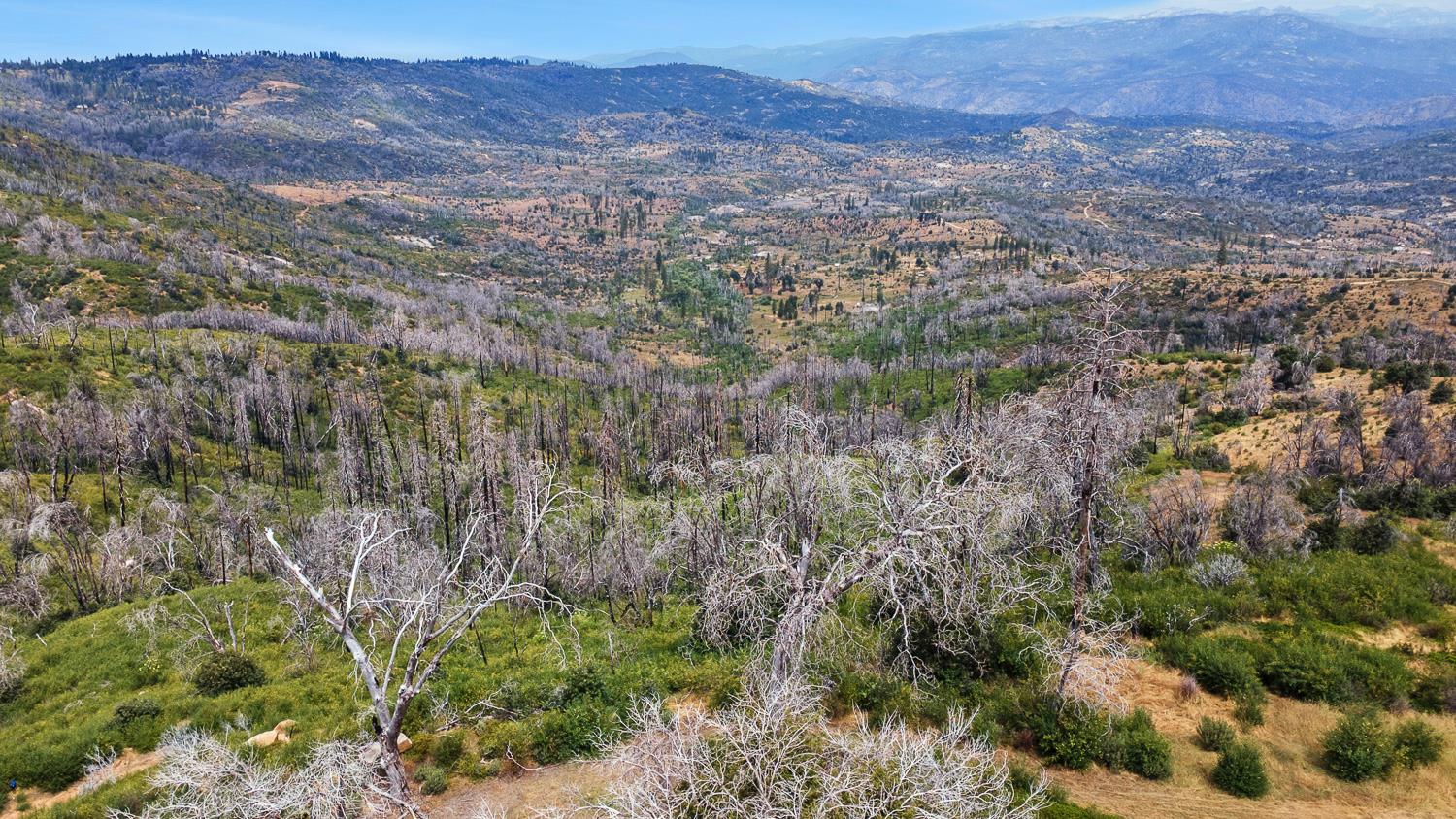 45149 Auberry Rd, Auberry, CA 93602