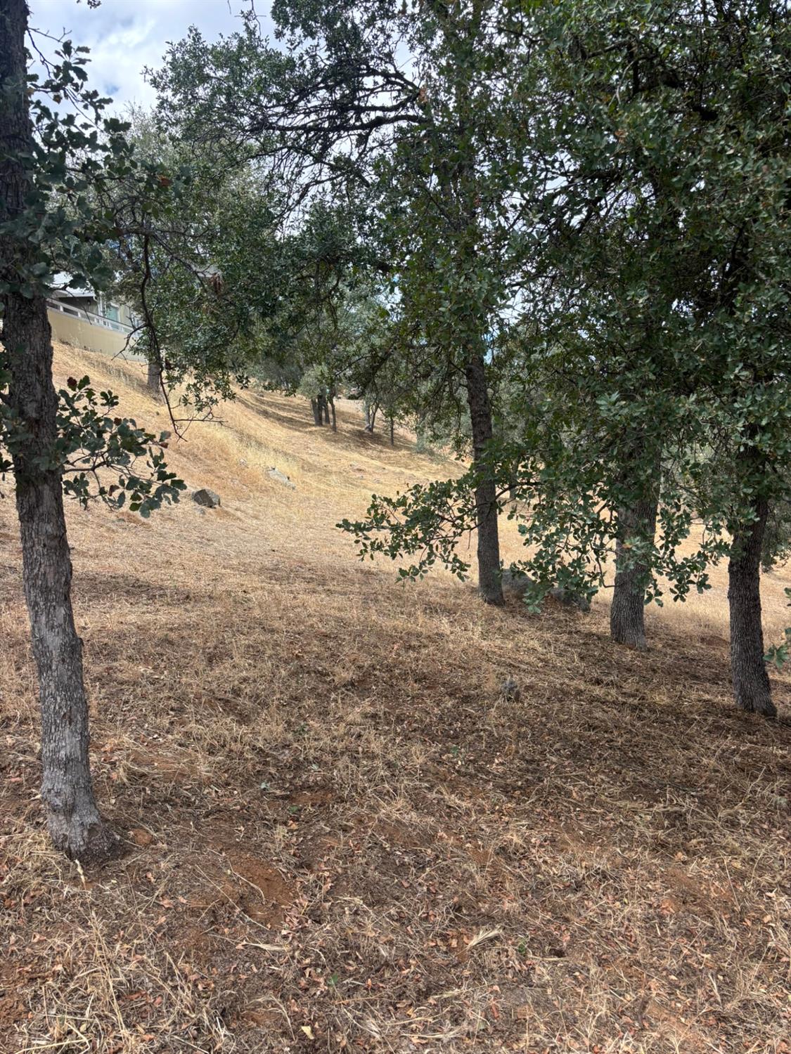 2609 Granite Ln, Catheys Valley, CA 95306