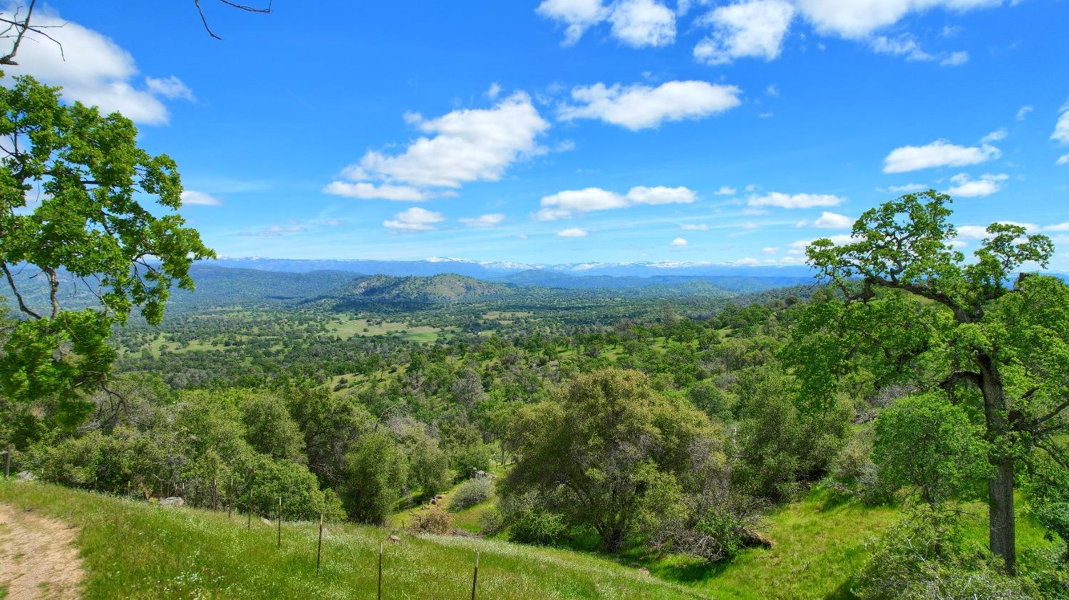42625 Red Top Mountain Ct, Coarsegold, CA 93614
