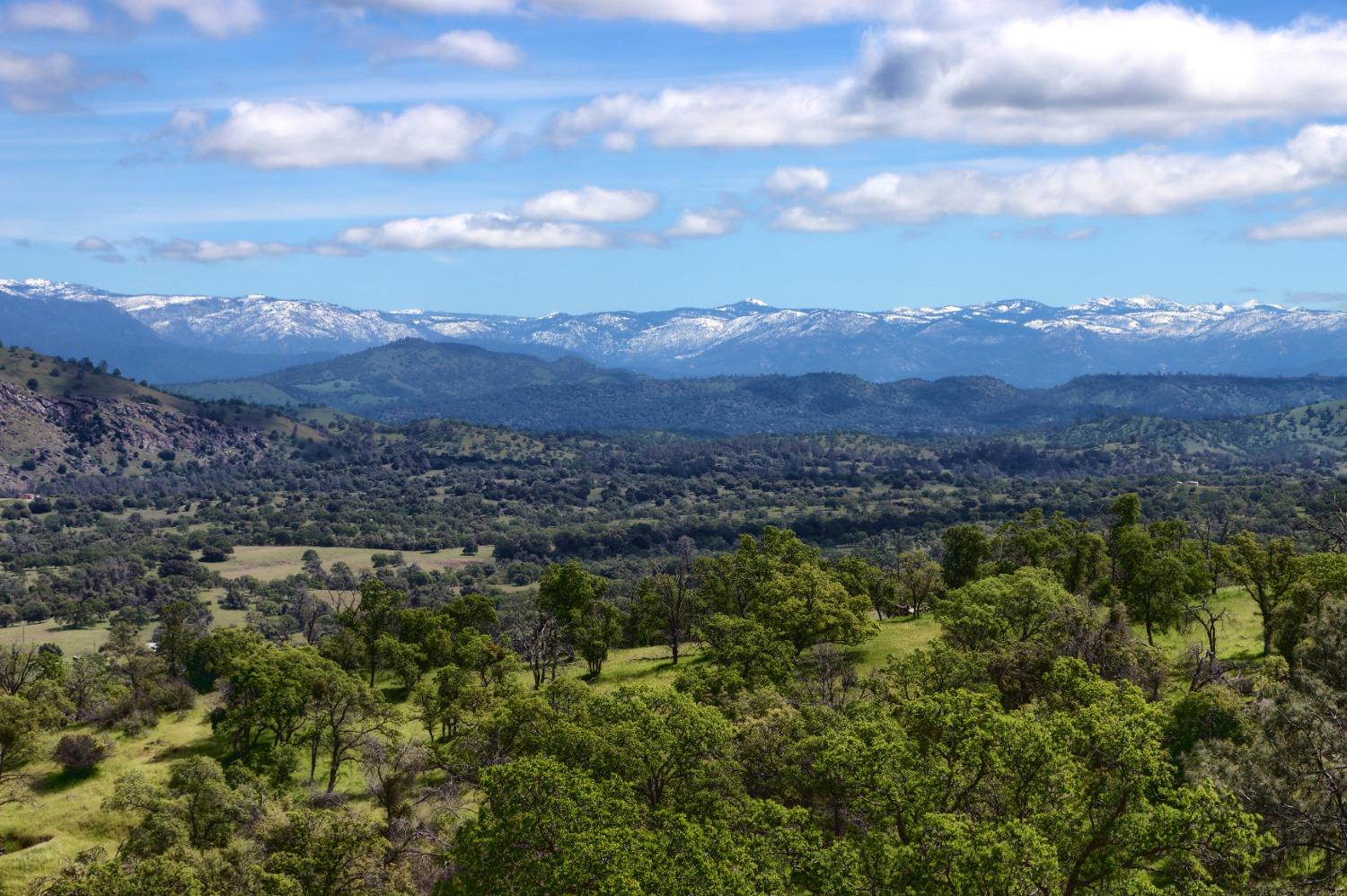 42625 Red Top Mountain Ct, Coarsegold, CA 93614