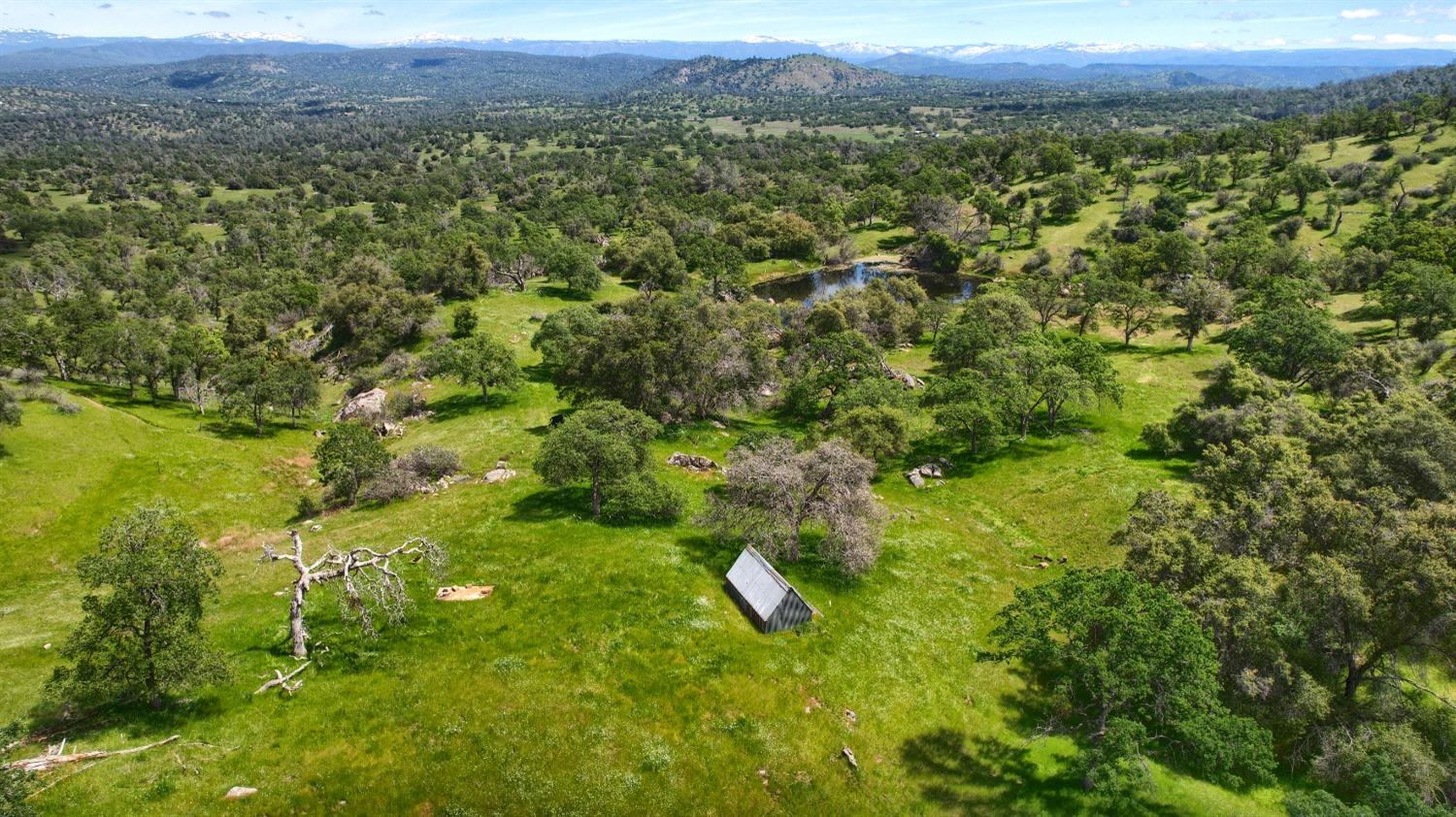 42625 Red Top Mountain Ct, Coarsegold, CA 93614