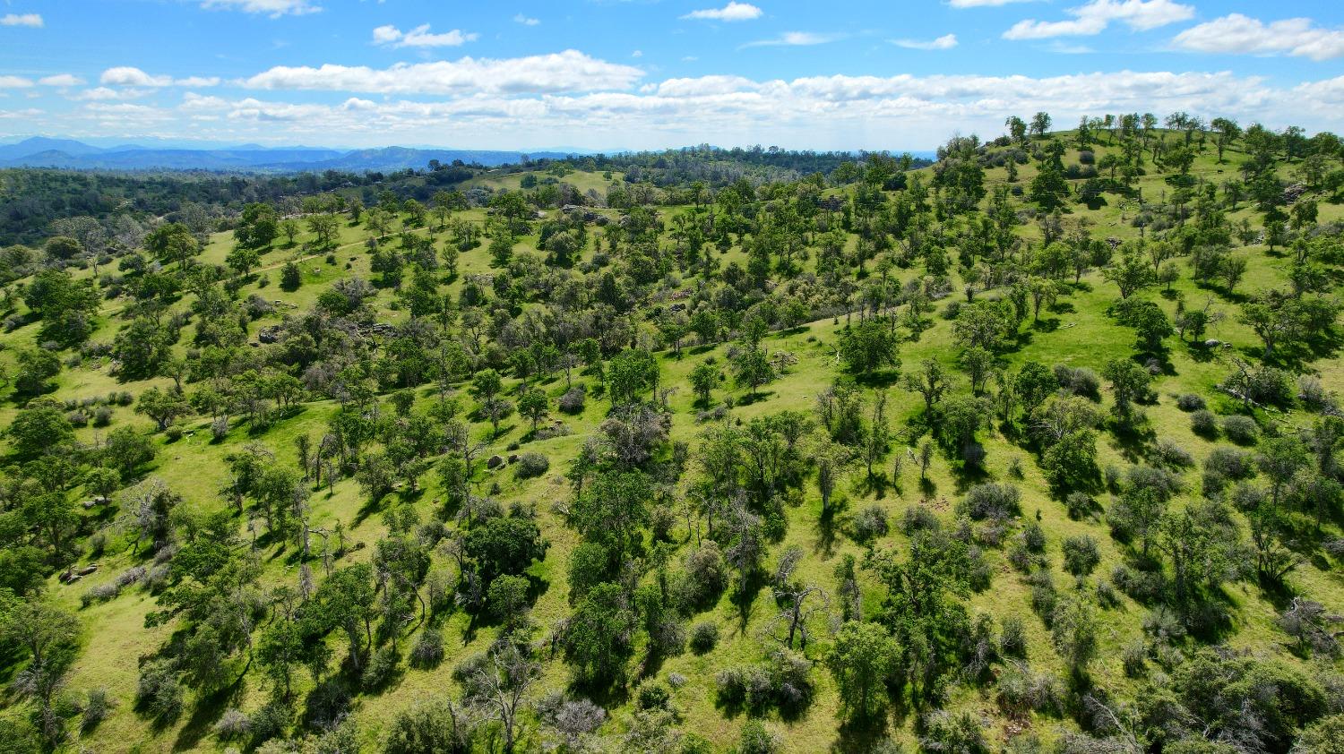 42625 Red Top Mountain Ct, Coarsegold, CA 93614