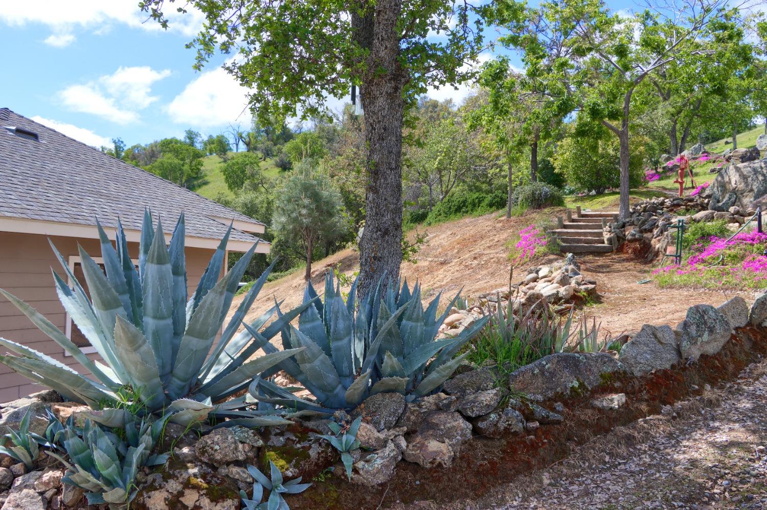 42625 Red Top Mountain Ct, Coarsegold, CA 93614