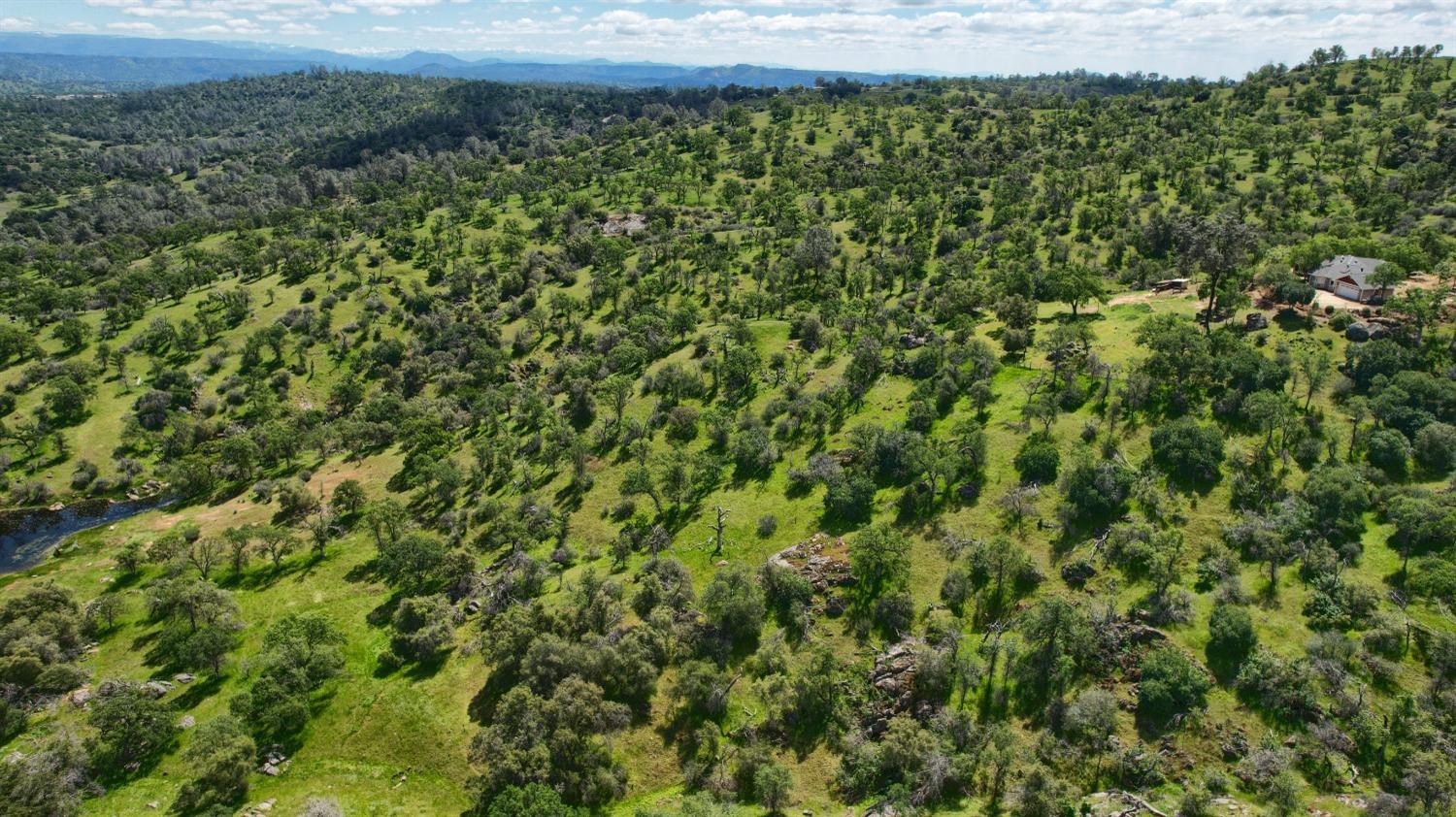 42625 Red Top Mountain Ct, Coarsegold, CA 93614