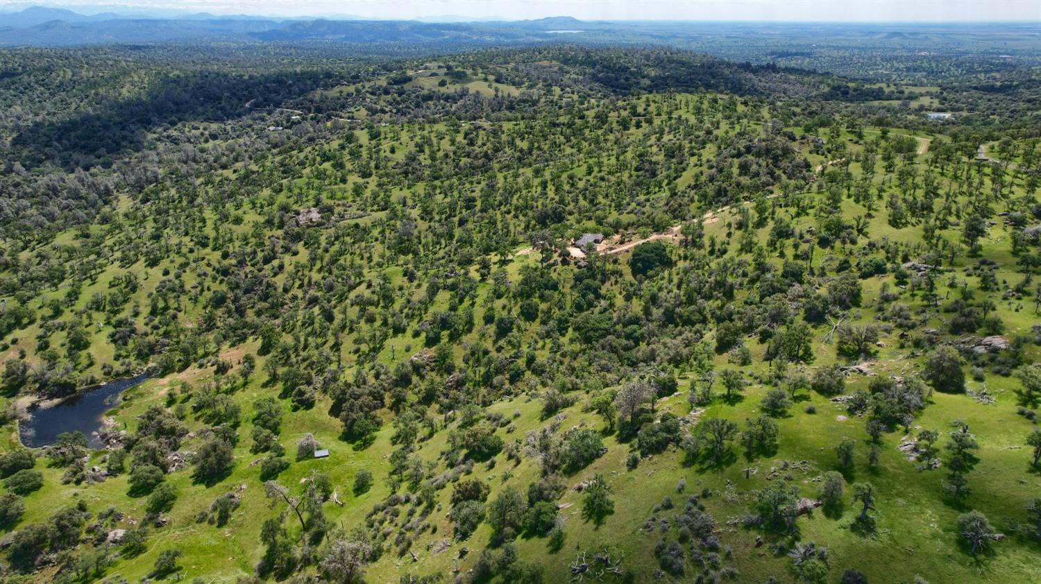 42625 Red Top Mountain Ct, Coarsegold, CA 93614
