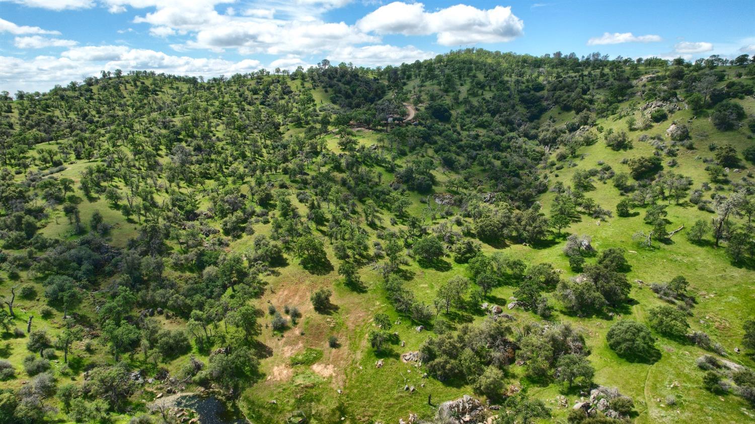 42625 Red Top Mountain Ct, Coarsegold, CA 93614