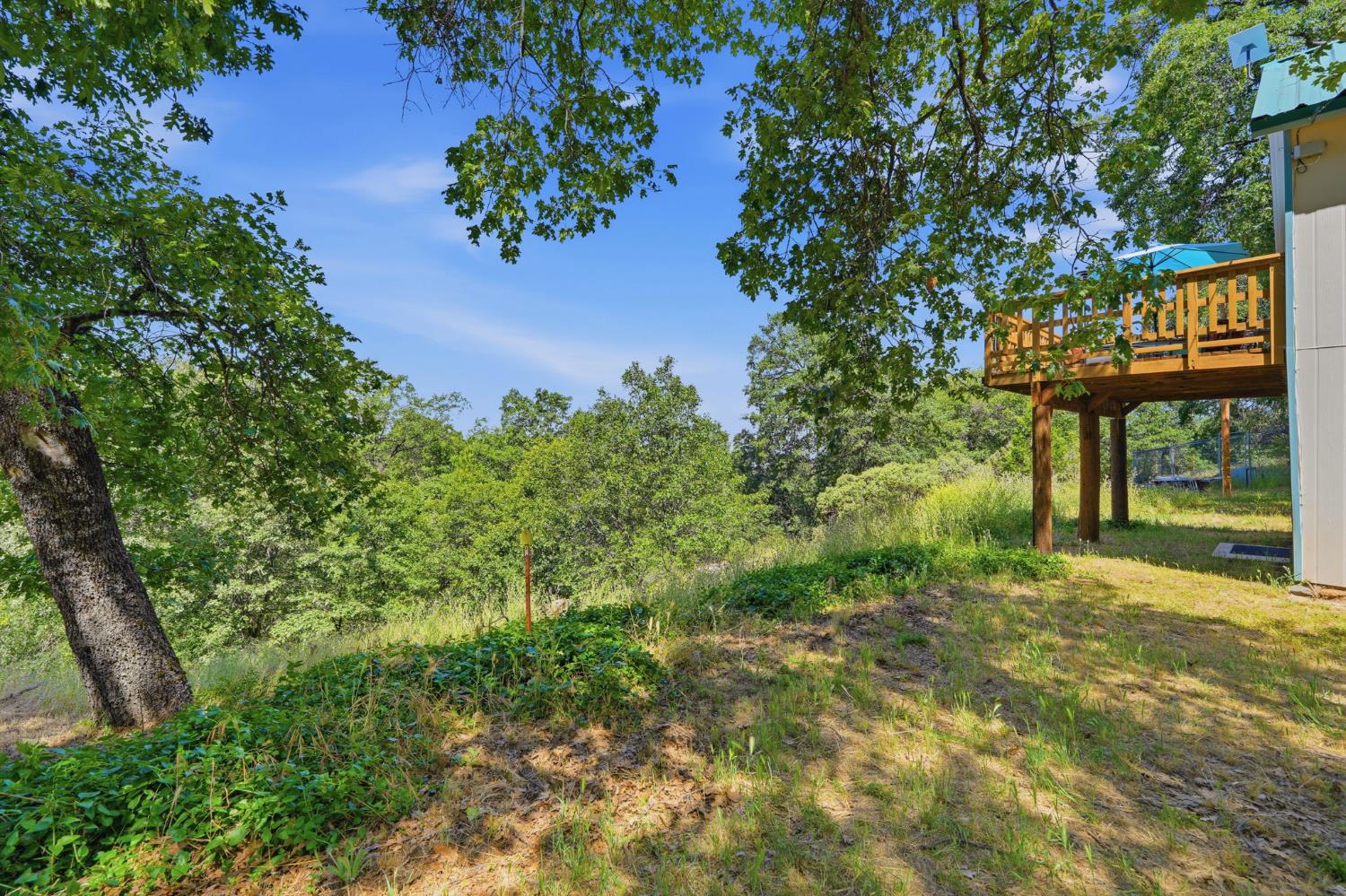53237 Hogback Rd, Miramonte, CA 93641