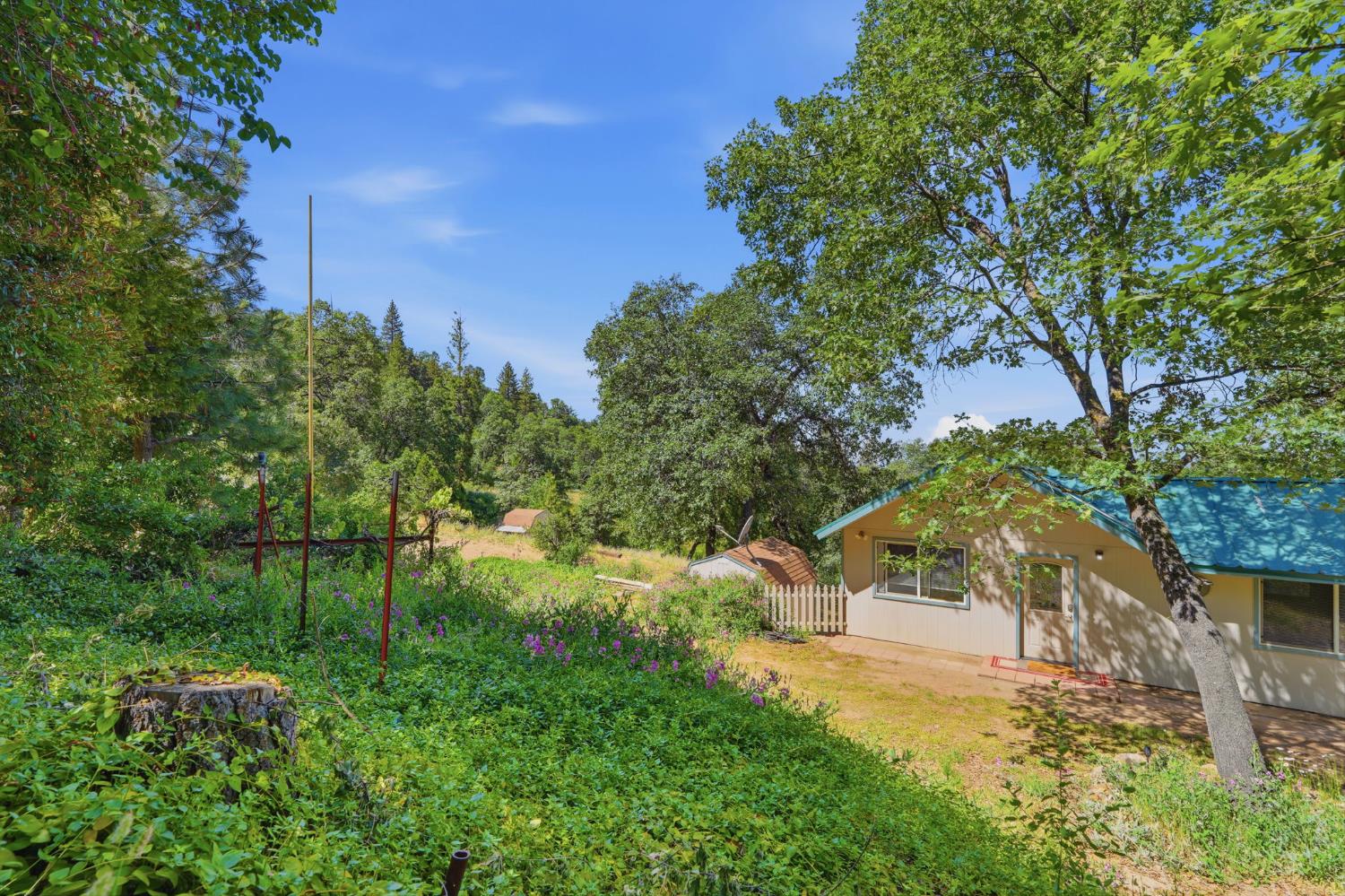 53237 Hogback Rd, Miramonte, CA 93641