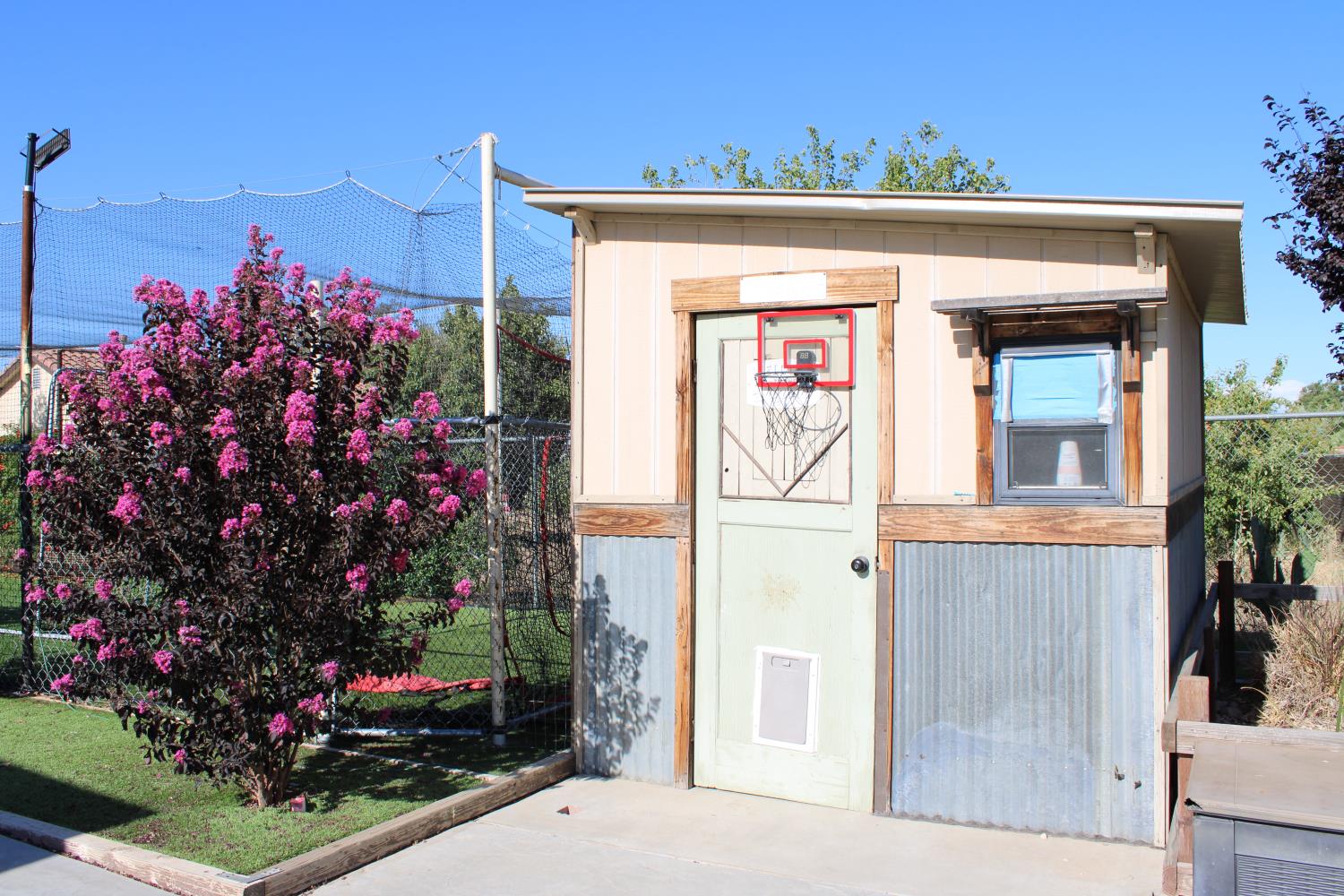 29146 Avenue 16 1/4, Madera, CA 93636