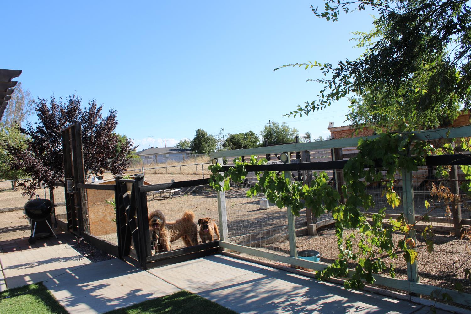29146 Avenue 16 1/4, Madera, CA 93636