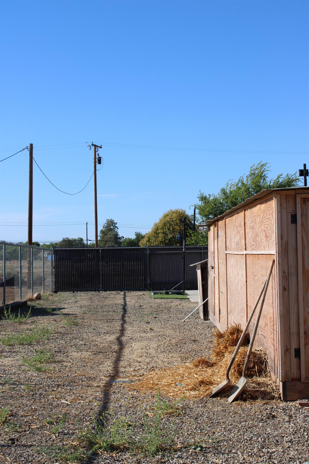 29146 Avenue 16 1/4, Madera, CA 93636
