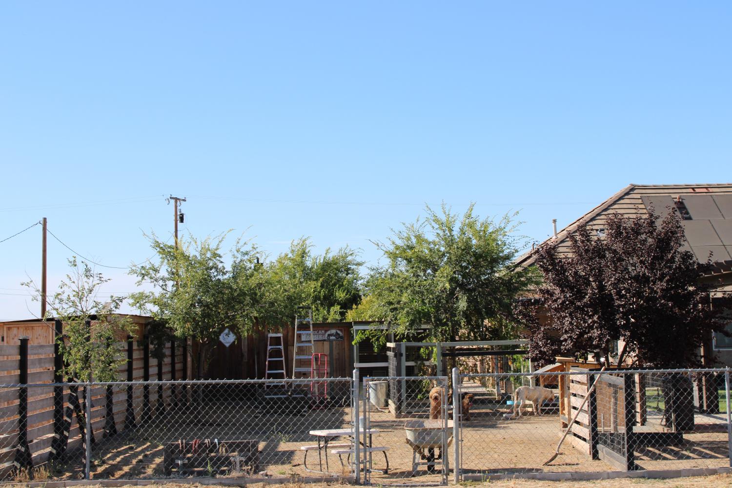 29146 Avenue 16 1/4, Madera, CA 93636