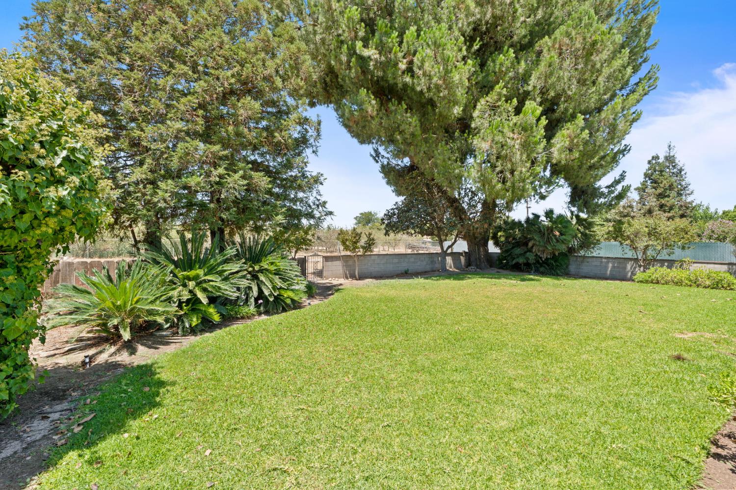 9075 S Mccall Ave, Selma, CA 93662