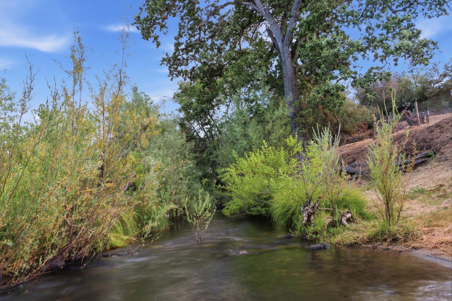 33515 River Knolls Ln, Coarsegold, CA 93614