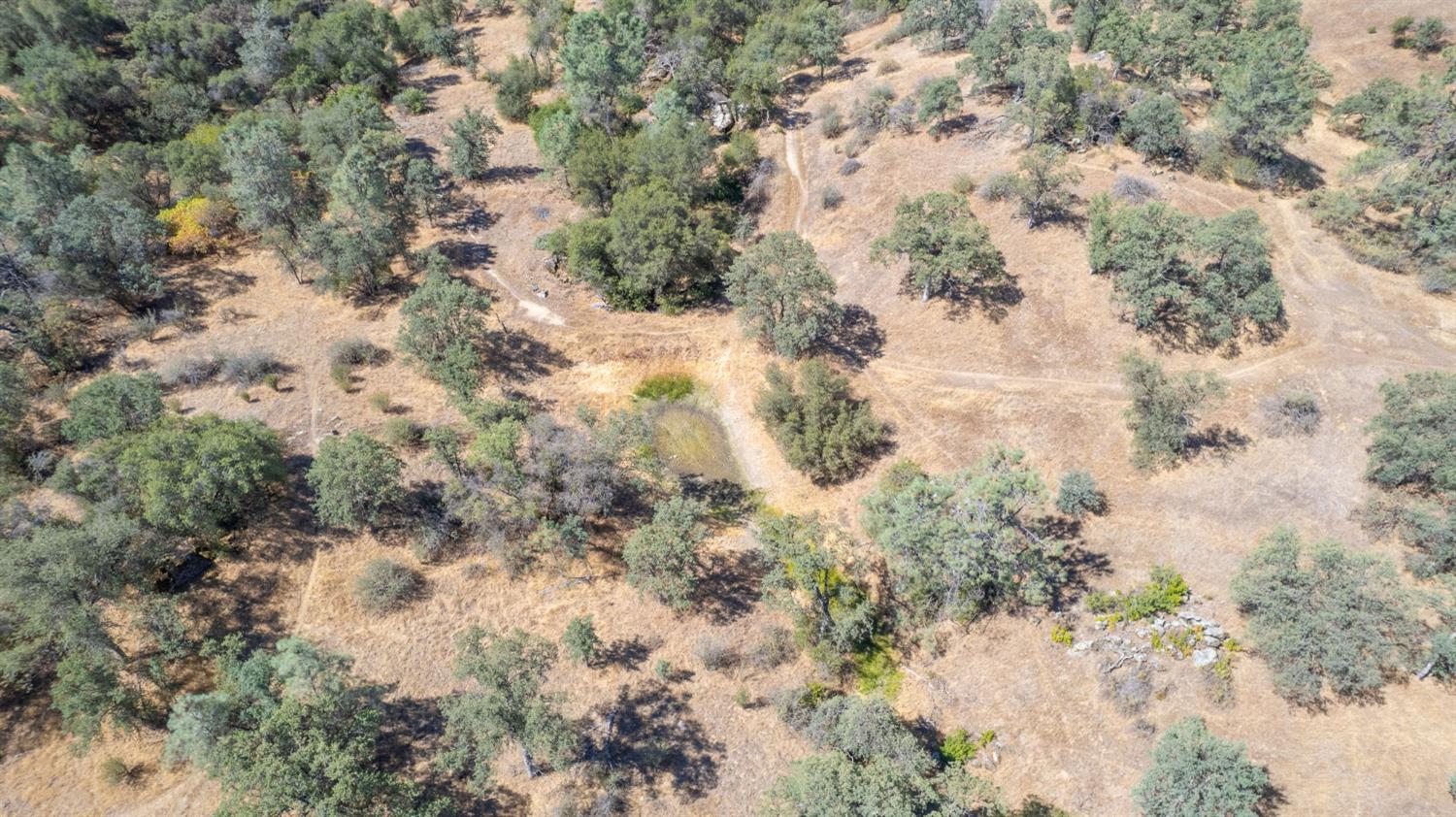 33298 Wahoo Ln, Auberry, CA 93602