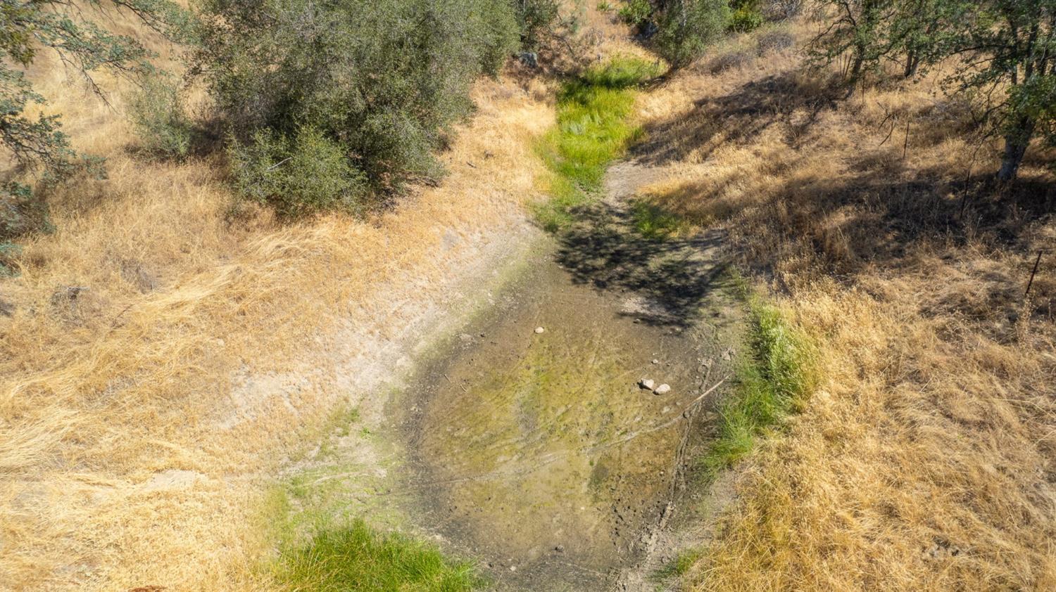 33298 Wahoo Ln, Auberry, CA 93602