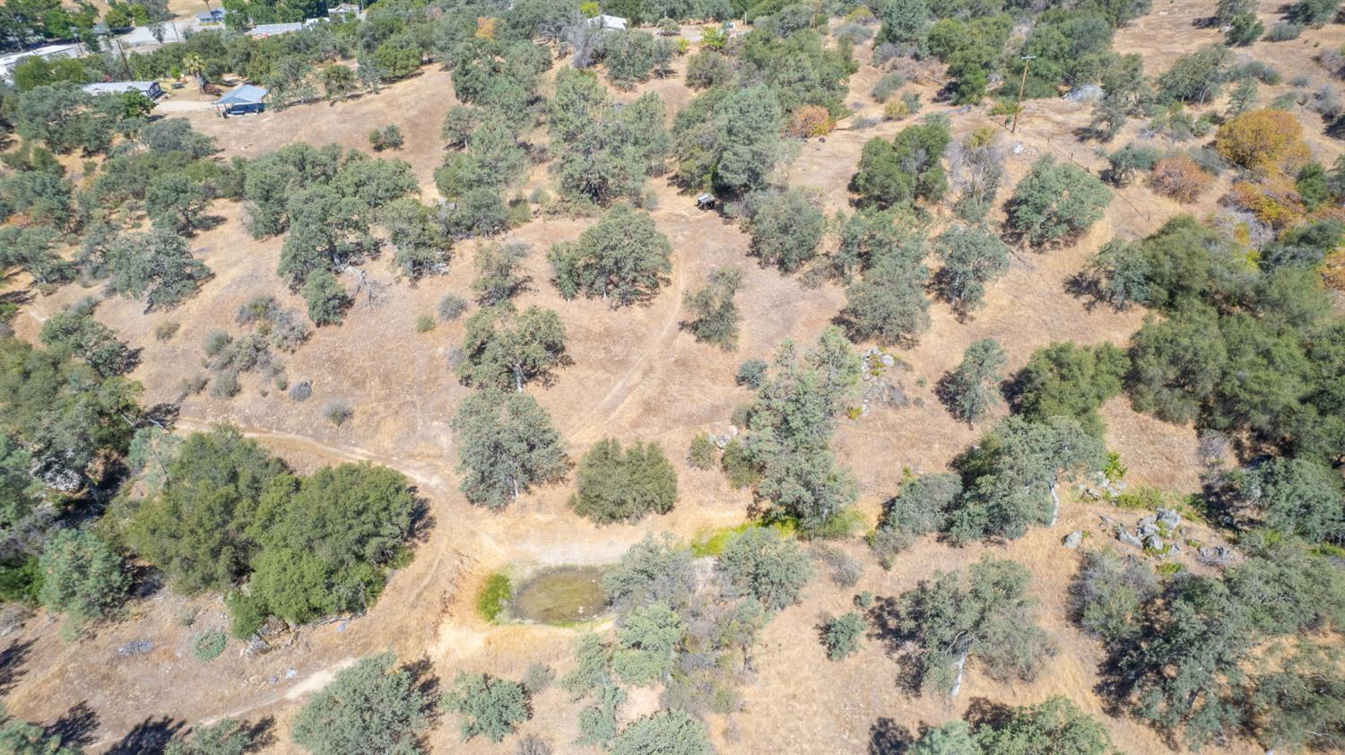 33298 Wahoo Ln, Auberry, CA 93602