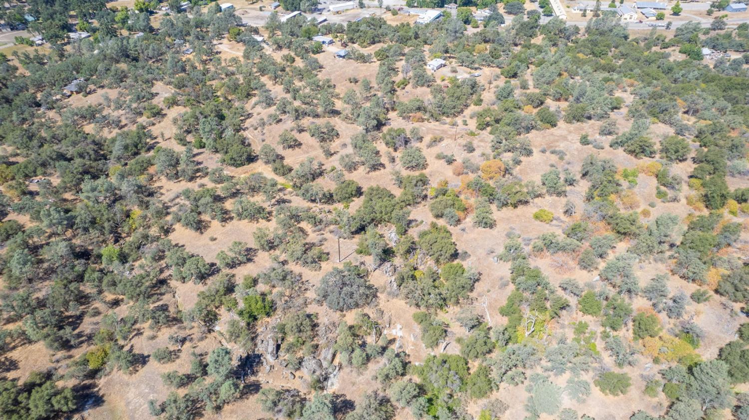33298 Wahoo Ln, Auberry, CA 93602