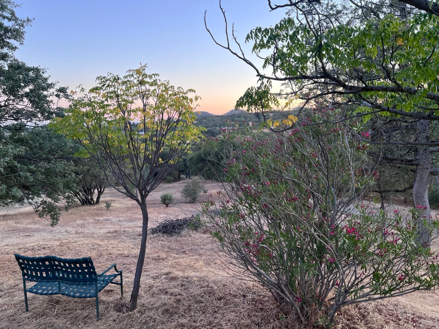 33298 Wahoo Ln, Auberry, CA 93602