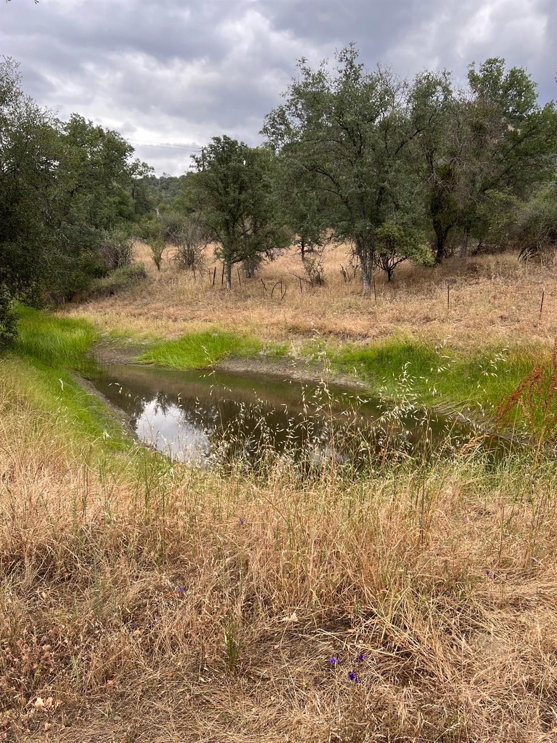 33298 Wahoo Ln, Auberry, CA 93602