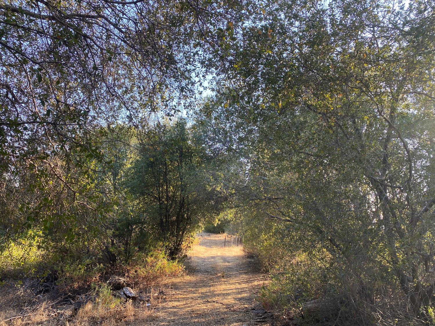 53748 Dogwood Dr, North Fork, CA 93643