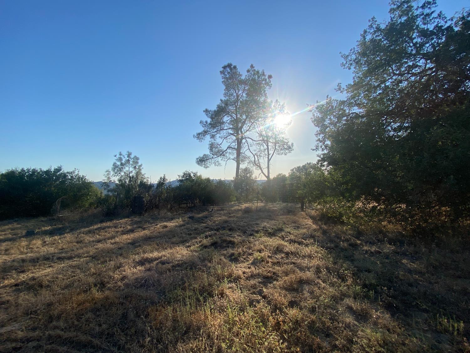 53748 Dogwood Dr, North Fork, CA 93643