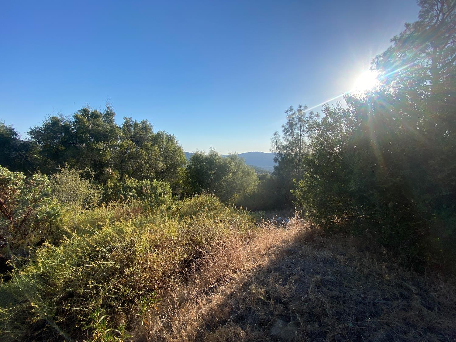 53748 Dogwood Dr, North Fork, CA 93643