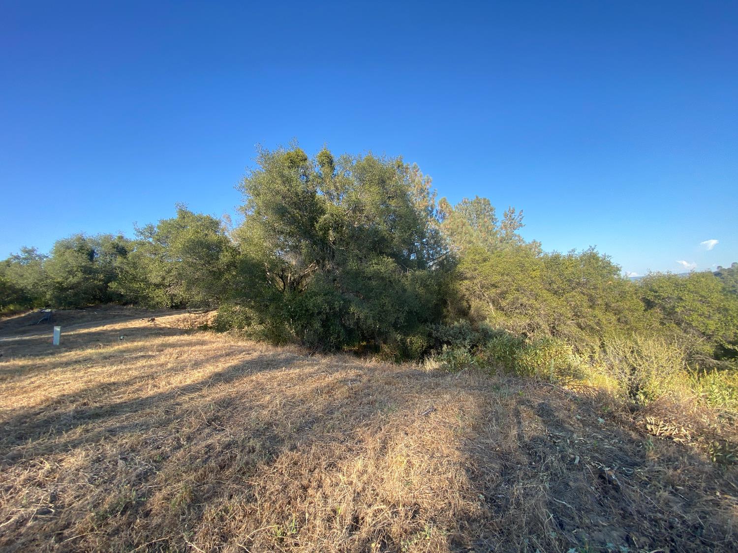 53748 Dogwood Dr, North Fork, CA 93643