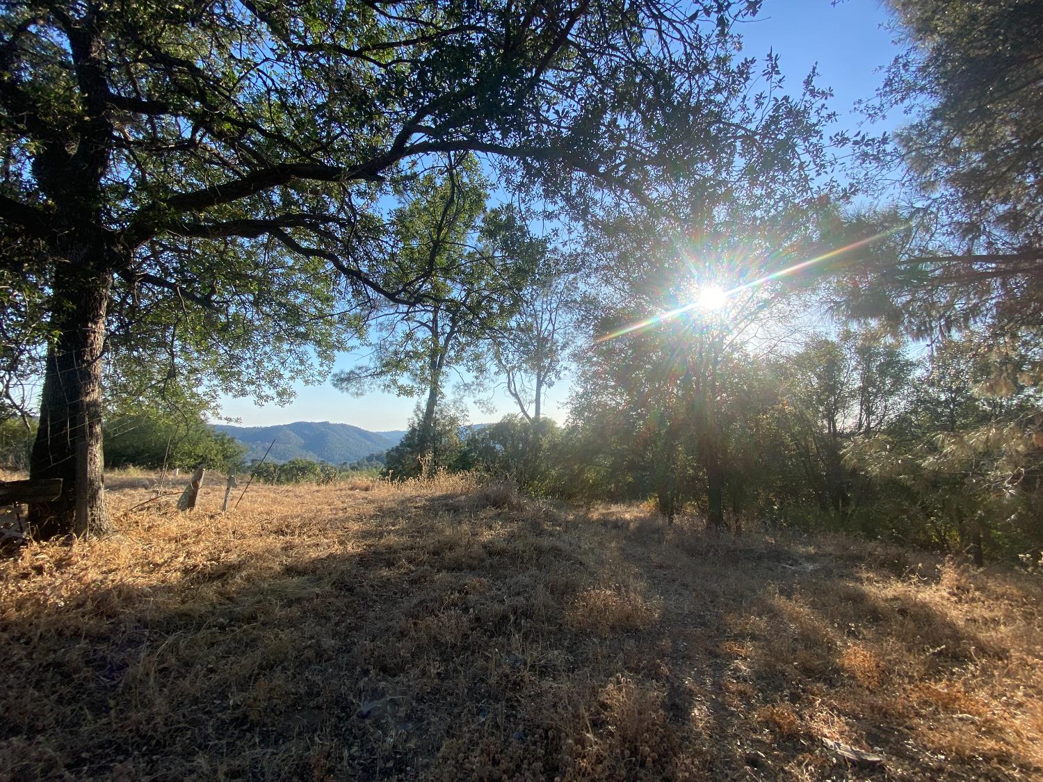 53748 Dogwood Dr, North Fork, CA 93643
