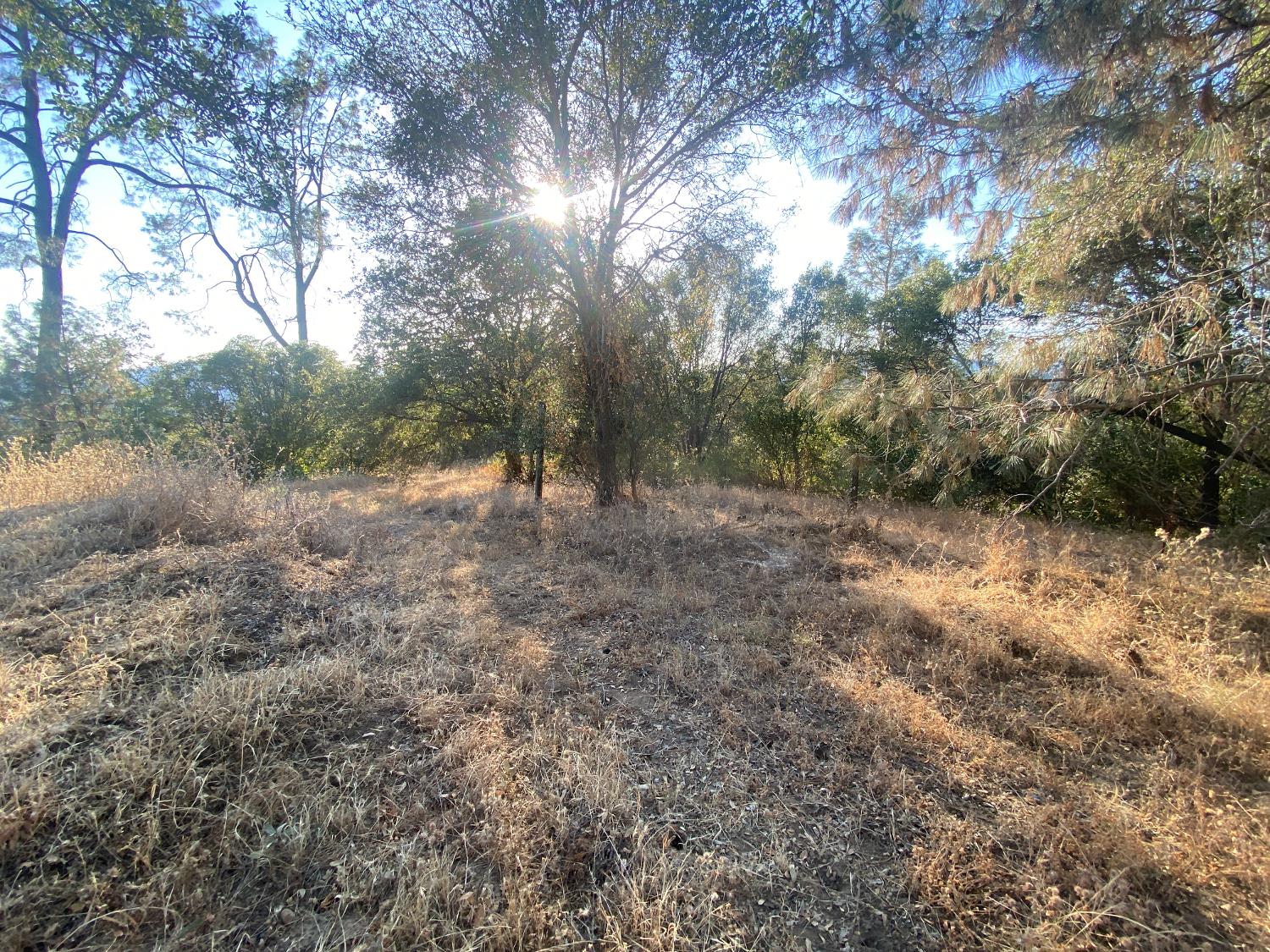 53748 Dogwood Dr, North Fork, CA 93643