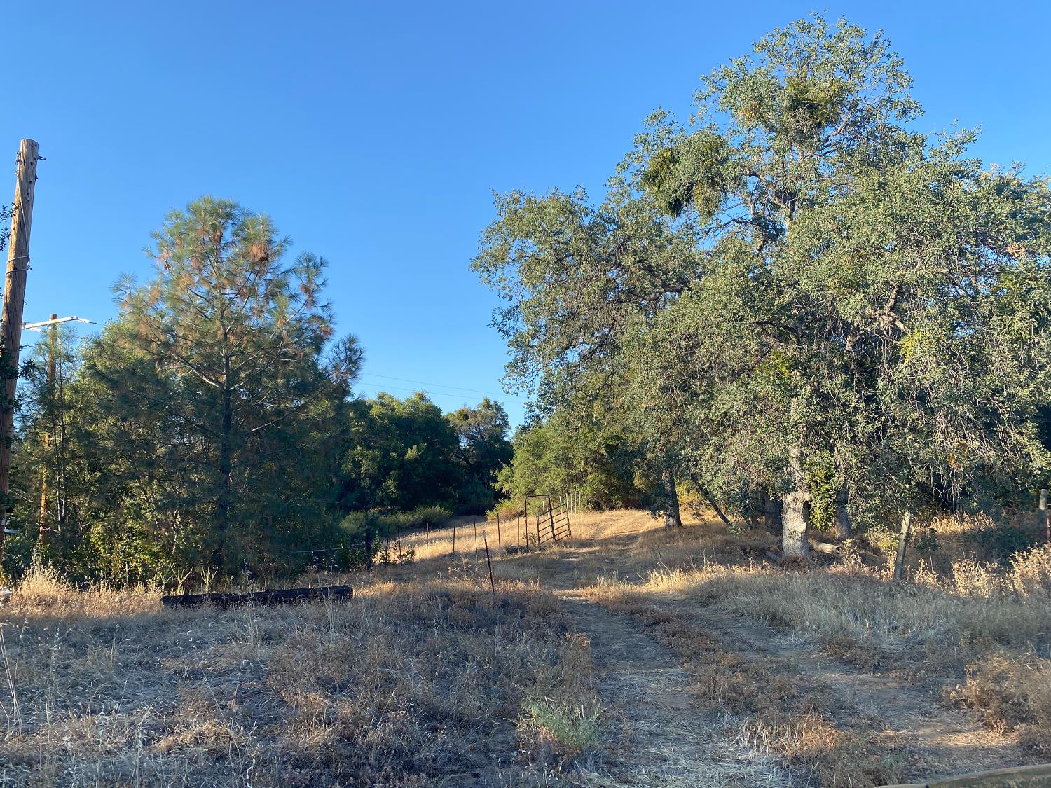 53748 Dogwood Dr, North Fork, CA 93643