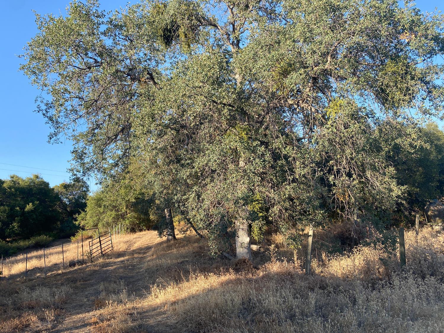 53748 Dogwood Dr, North Fork, CA 93643