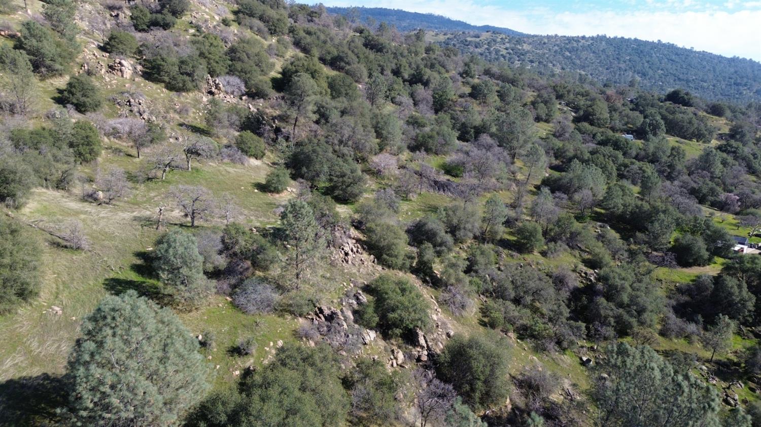 25 Buckaroo Ln, Auberry, CA 93602
