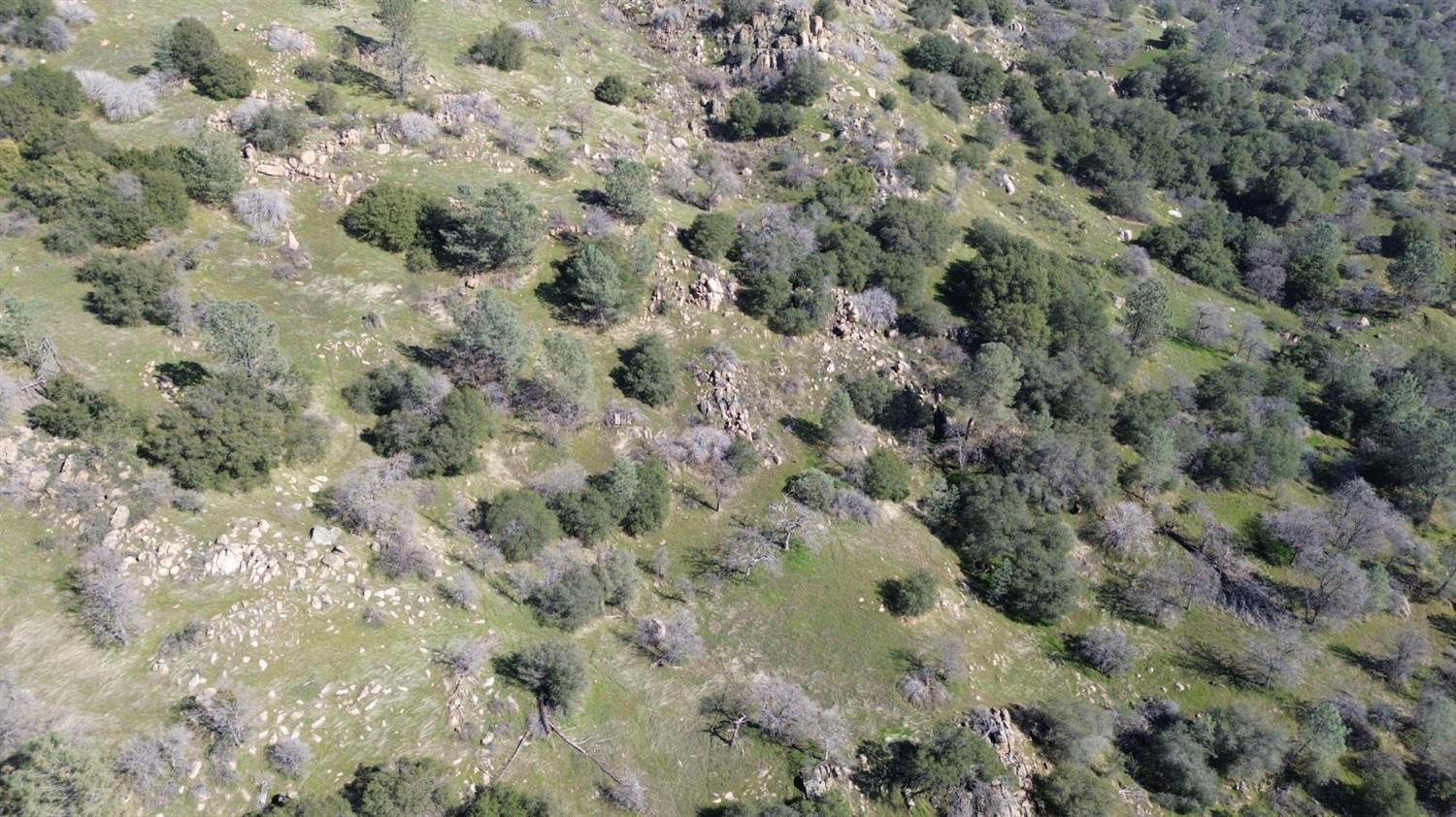 25 Buckaroo Ln, Auberry, CA 93602