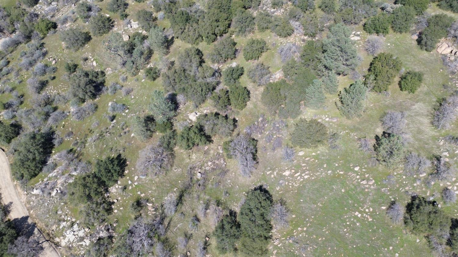 25 Buckaroo Ln, Auberry, CA 93602