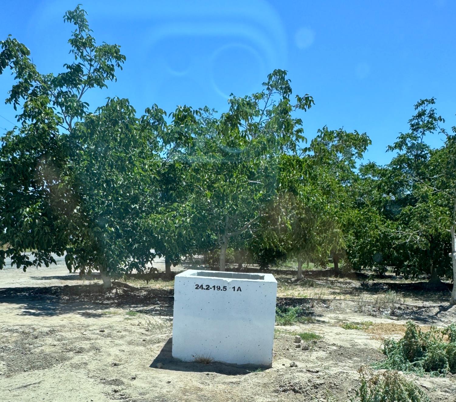 21862 Avenue 12, Madera, CA 93637