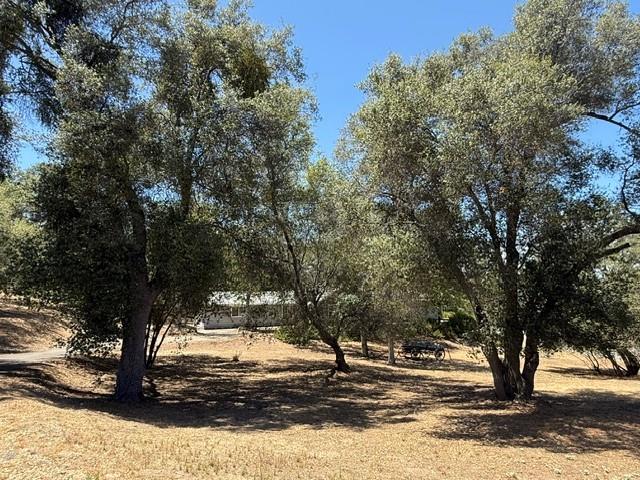 31116 Blue Heron Way, Coarsegold, CA 93614