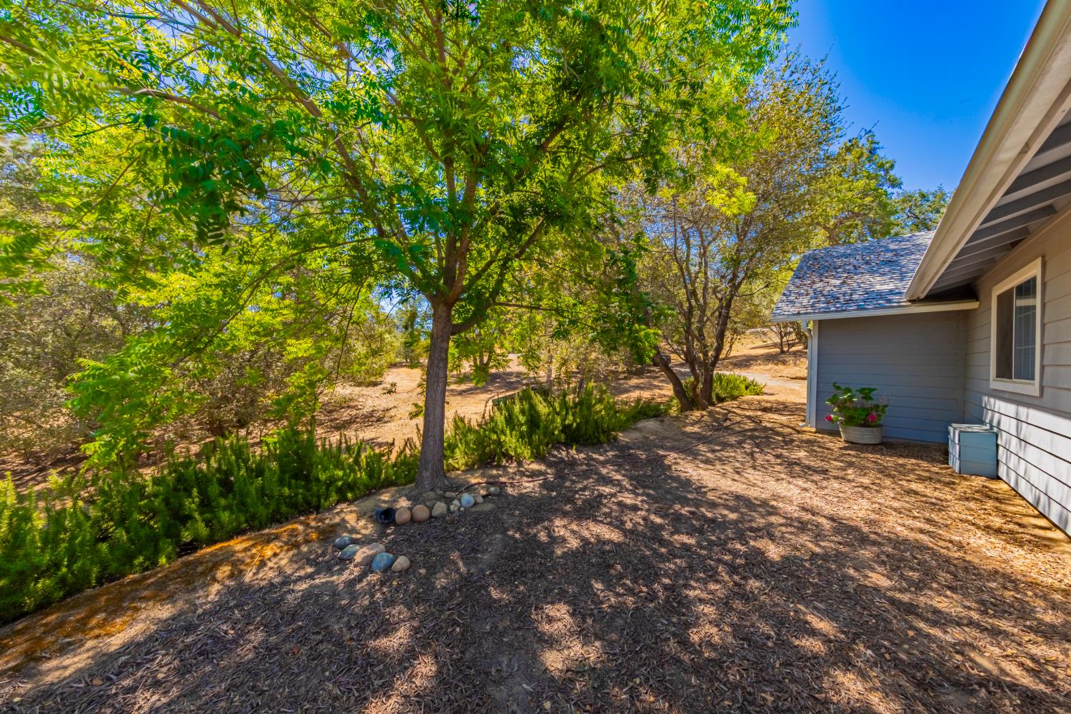 31116 Blue Heron Way, Coarsegold, CA 93614