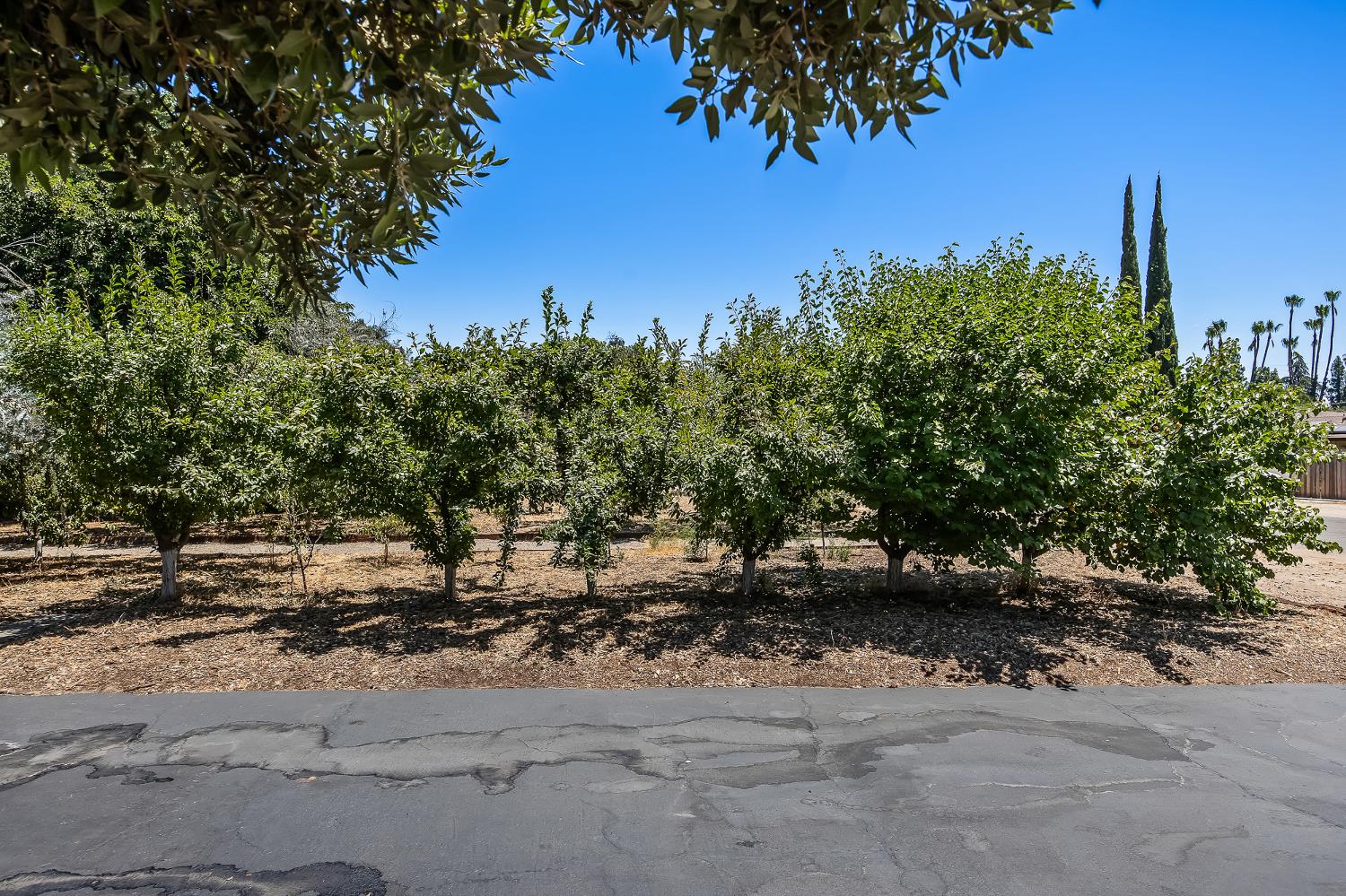 5789 E Park Circle Drive., Fresno, CA 93727
