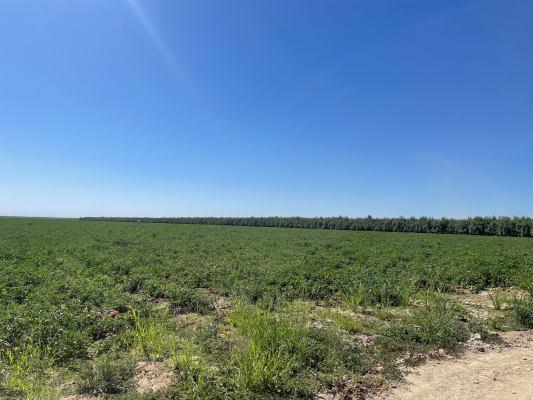 1 S Siskiyou, Kerman, CA 93630
