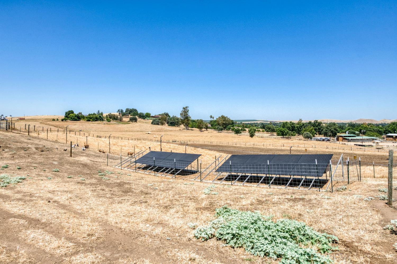 1969 Pederson Ave, Sanger, CA 93657