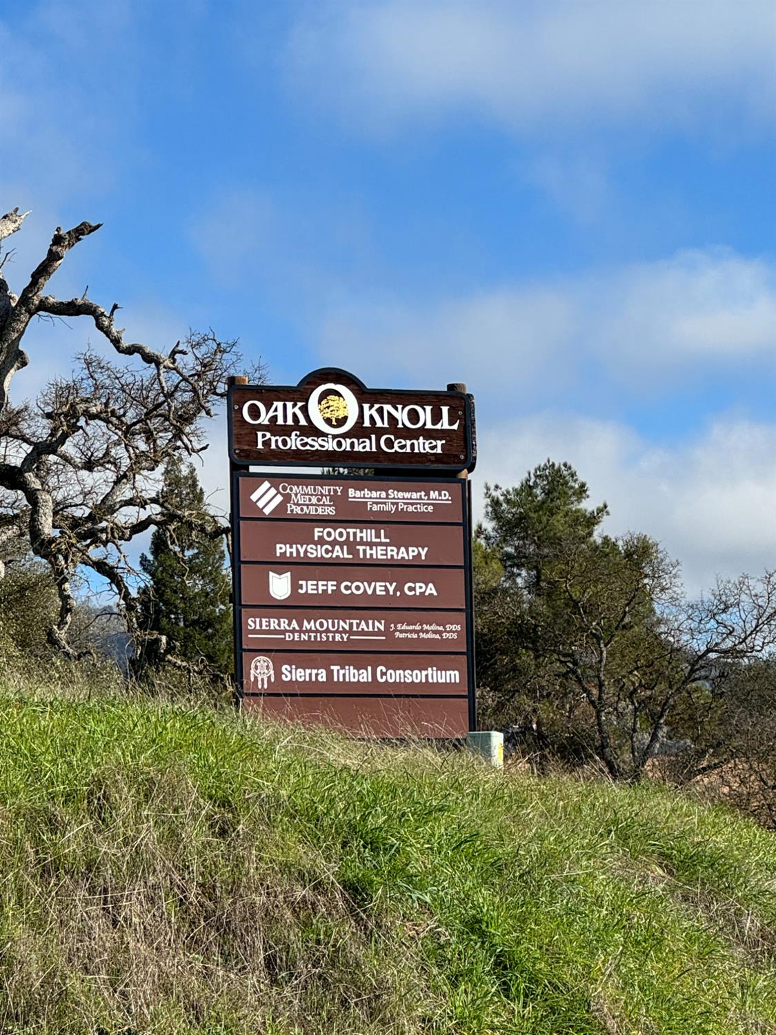 31975 Lodge Rd, Auberry, CA 93602