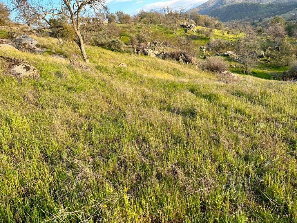 344 Squaw Valley Rd, Yokuts Valley, CA 93675