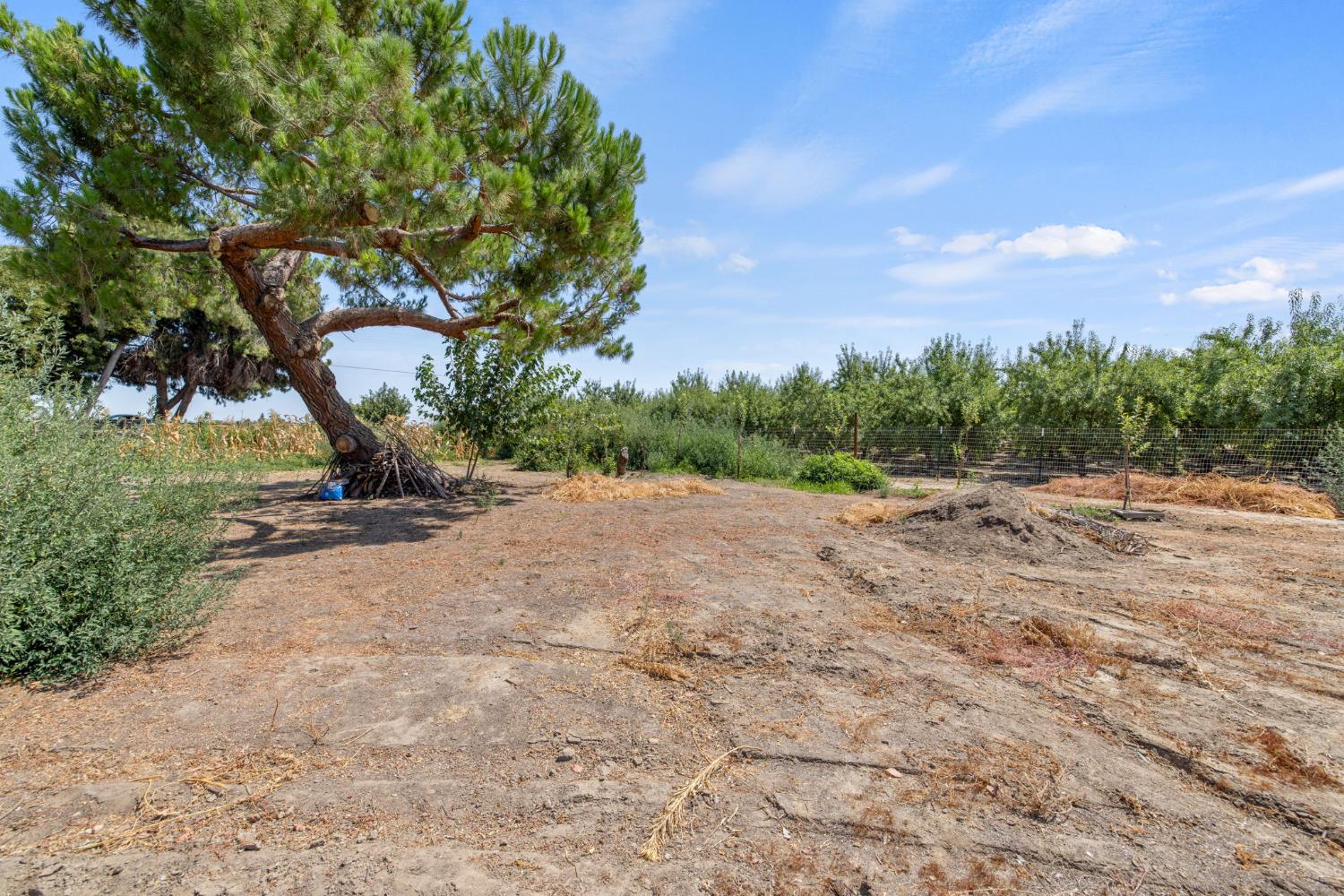 16565 Lacey Blvd, Lemoore, CA 93245