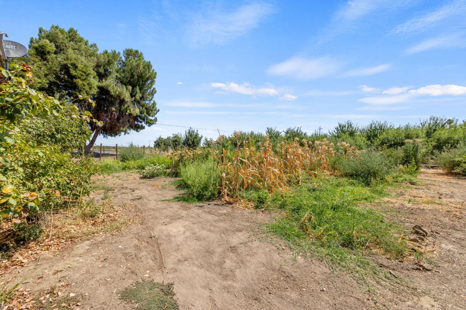 16565 Lacey Blvd, Lemoore, CA 93245