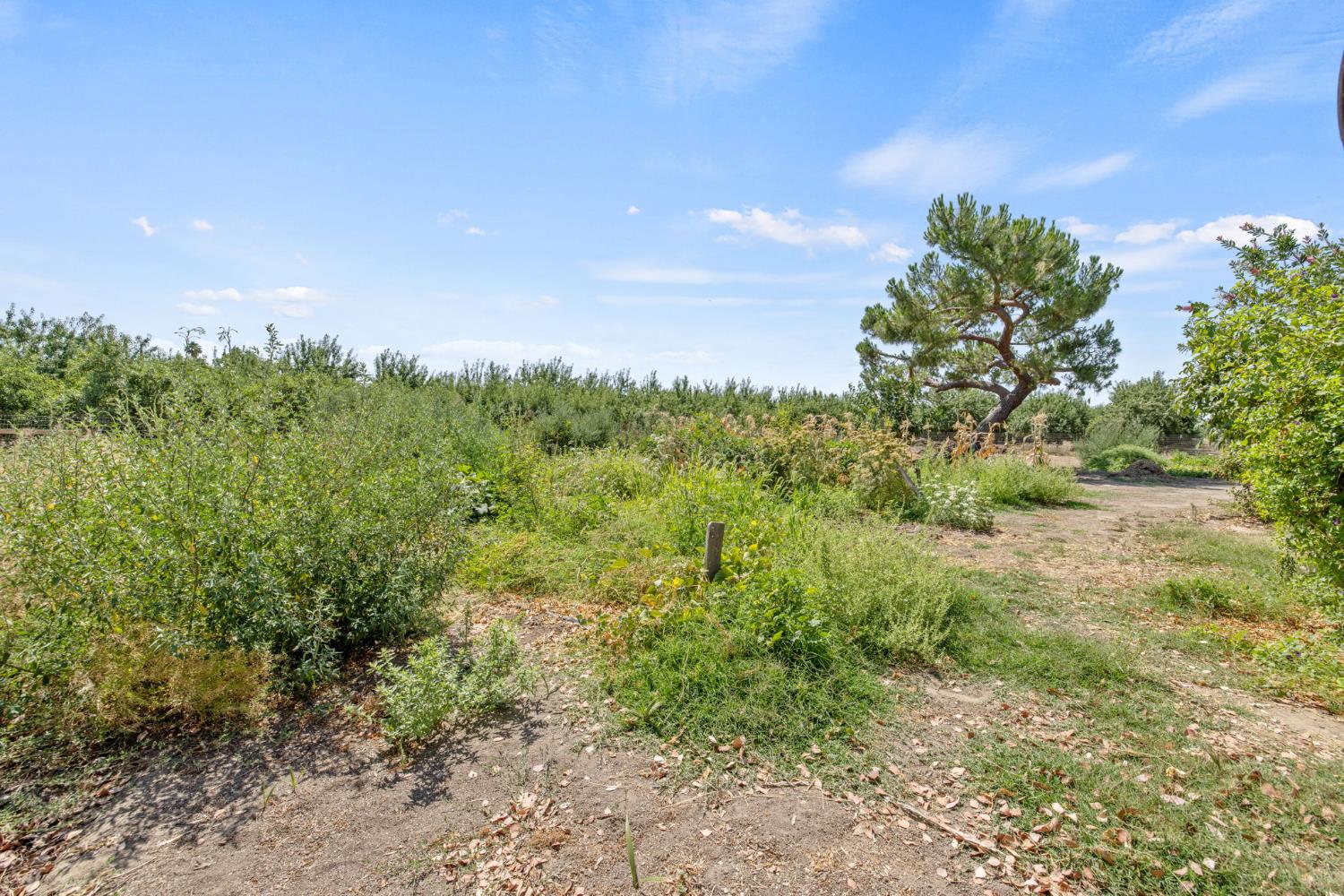 16565 Lacey Blvd, Lemoore, CA 93245