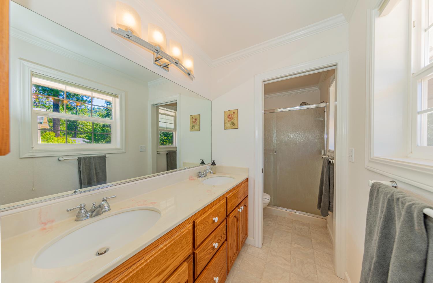 53235 Finegold Creek Ct, North Fork, CA 93643
